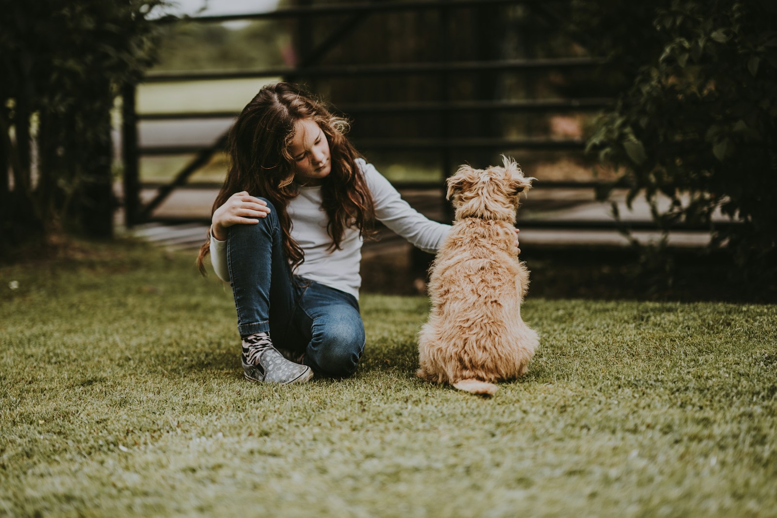 jeune fille avec un chien assis médiation animale