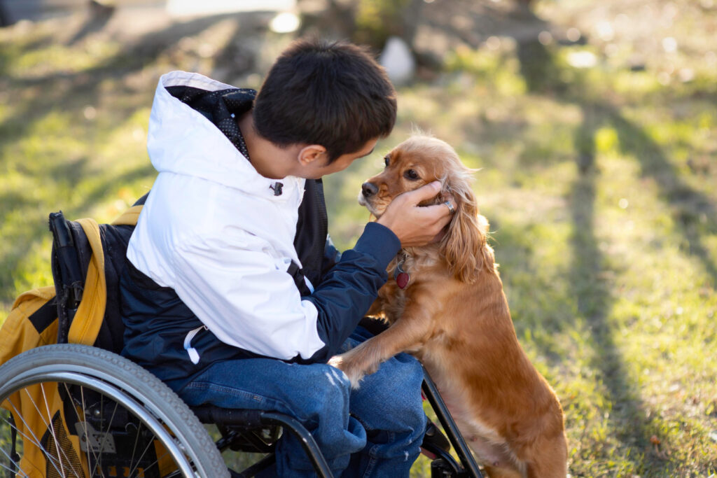 jeune homme handicapé avec chien mediation animale