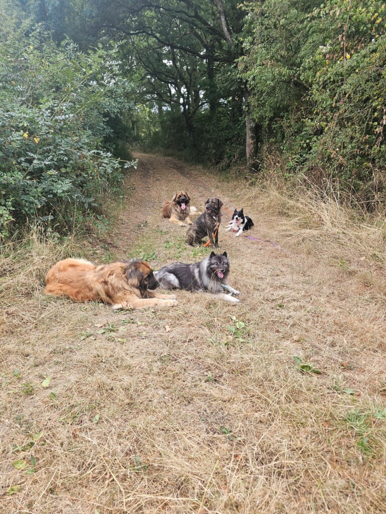 Balade_educative-Angrie6 Balade_educative-Angrie6