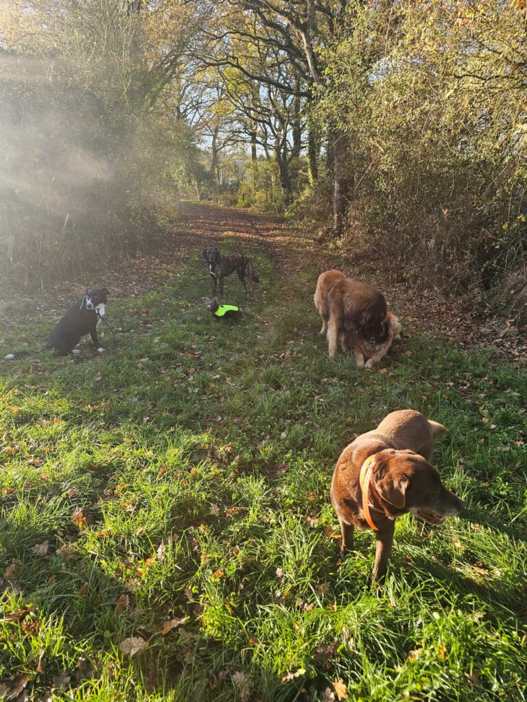 Balade_educative-campagne2 Balade_educative-campagne2