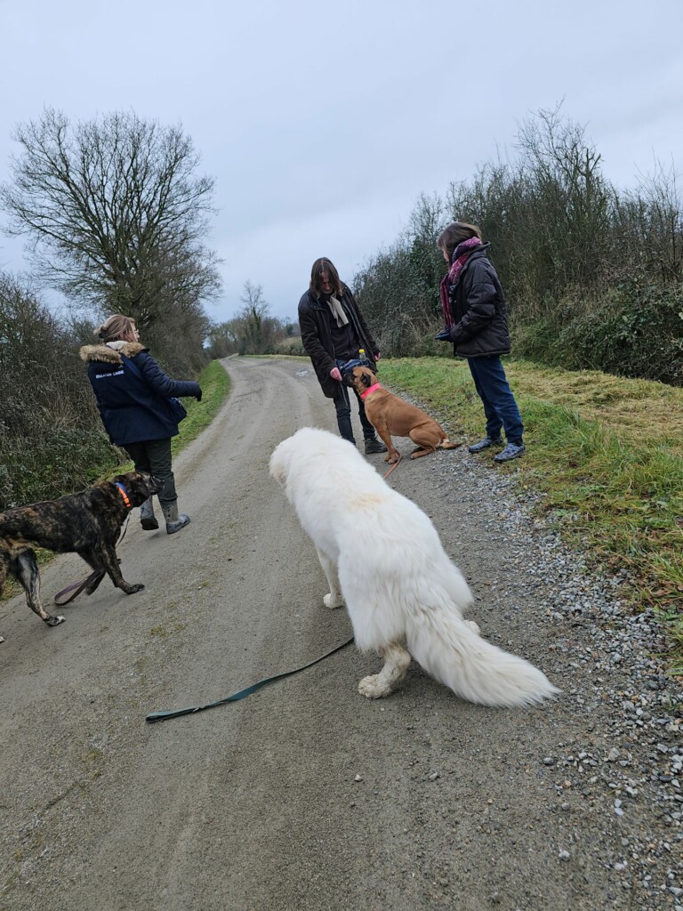 Balade_educative-eolienne1 Balade_educative-eolienne1