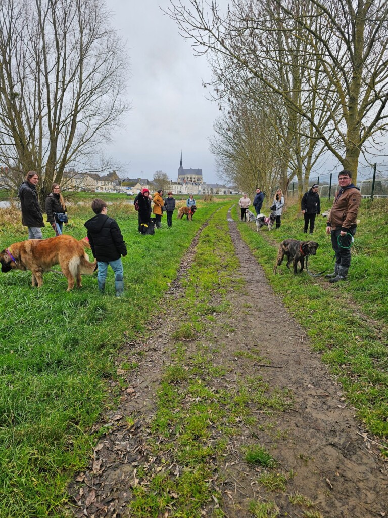 Balade_educative-Noel2 Balade_educative-Noel2