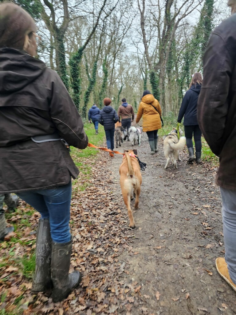 Balade_educative-Noel4 Balade_educative-Noel4