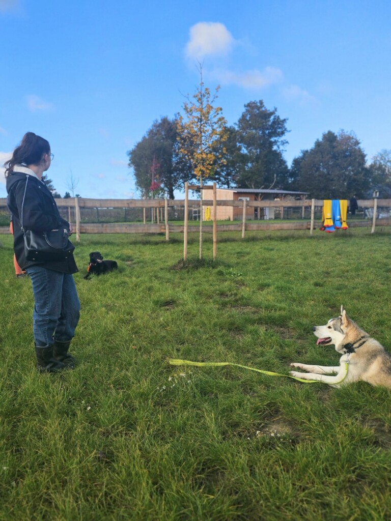 Collectif_terrain-ados4 - Modifié Collectif_terrain-ados4 - Modifié