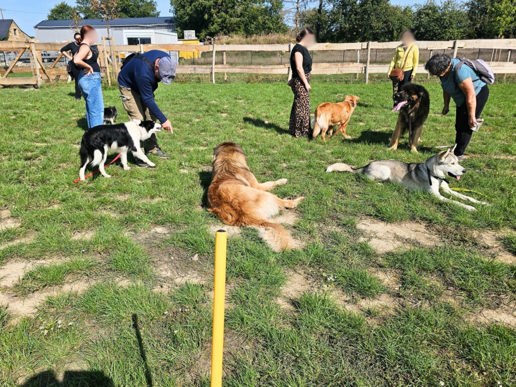 Collectif_terrain-ados_adultes2 - Modifié Collectif_terrain-ados_adultes2 - Modifié