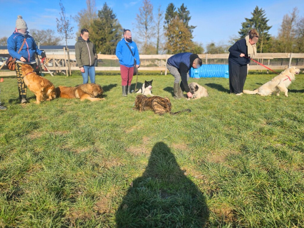 Collectif_terrain-ados_adultes3 - Modifié Collectif_terrain-ados_adultes3 - Modifié