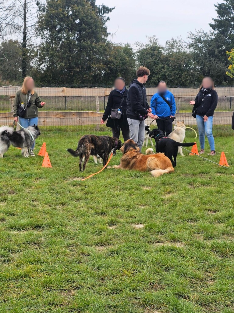 Collectif_terrain-ados_adultes4 - Modifié Collectif_terrain-ados_adultes4 - Modifié