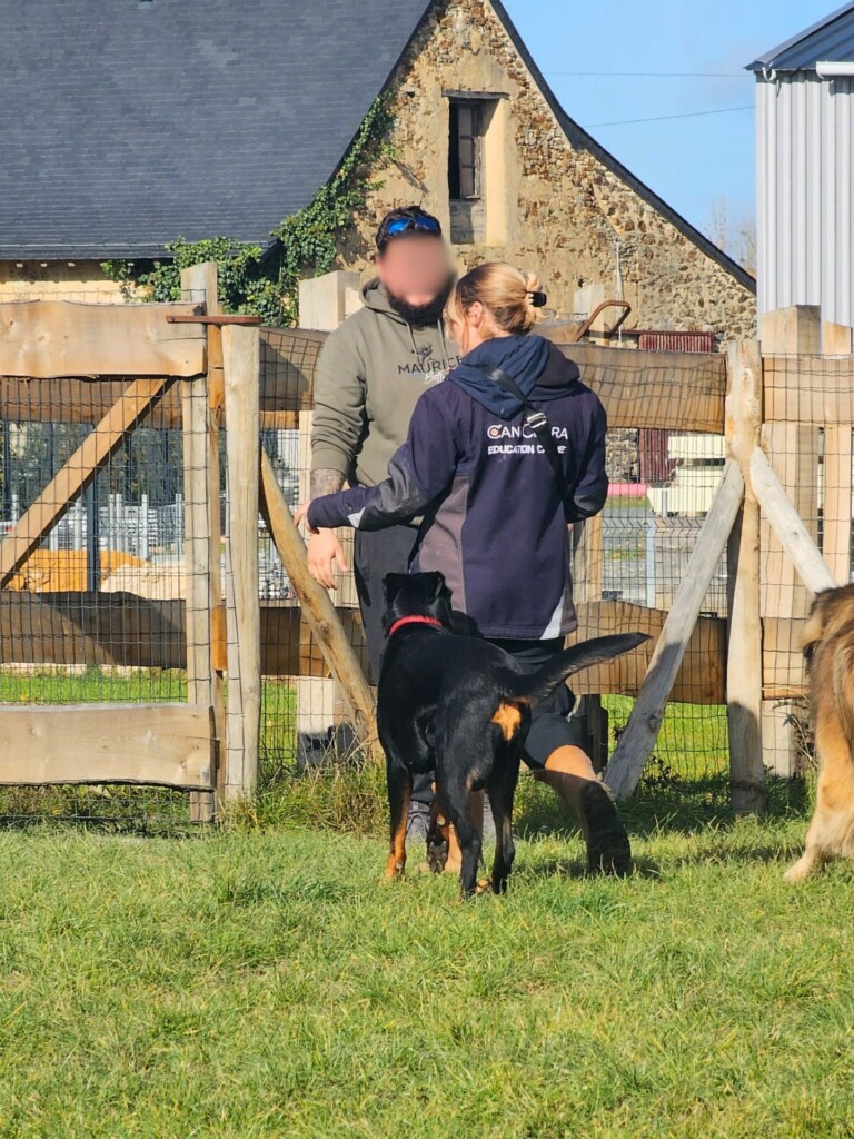 Collectif_terrain-adultes (2) - Modifié Collectif_terrain-adultes (2) - Modifié