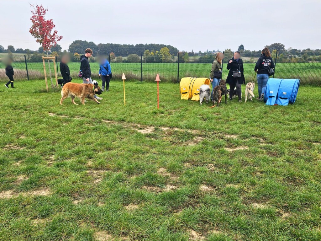 Collectif_terrain-agility - Modifié Collectif_terrain-agility - Modifié