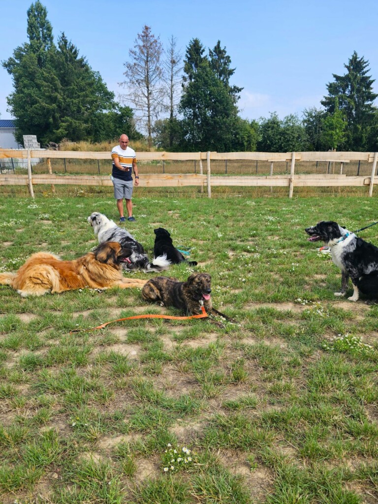 Collectif_terrain-mixtes - Modifié Collectif_terrain-mixtes - Modifié