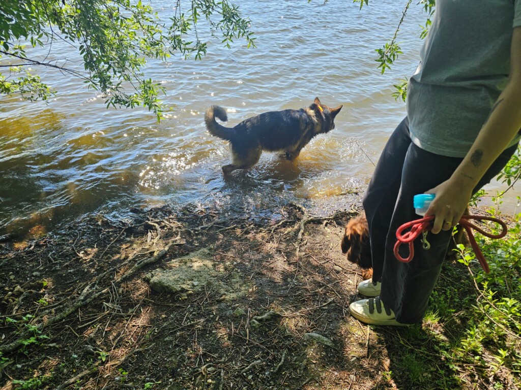 Individuelle_Bjorn5 Individuelle_Bjorn5