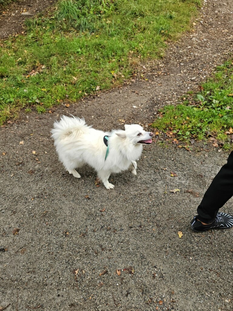 Individuelle_Caline Individuelle_Caline