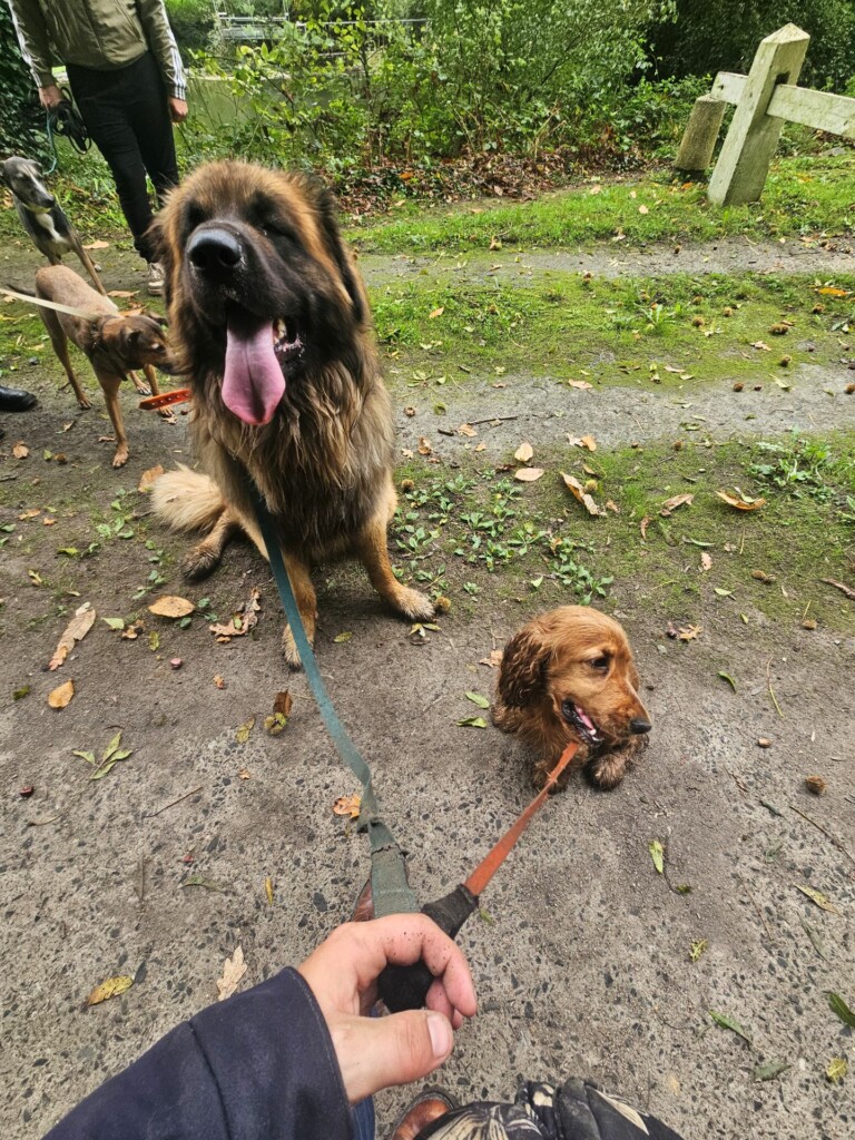 Individuelle_Dune Individuelle_Dune