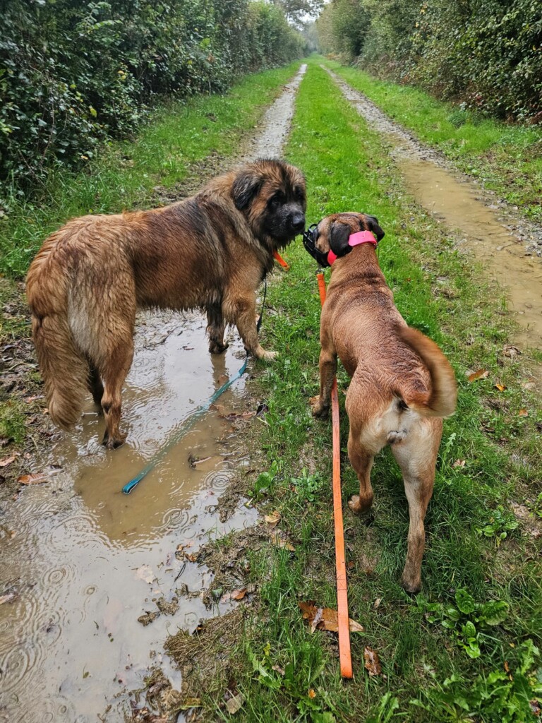 Individuelle_Macha Individuelle_Macha