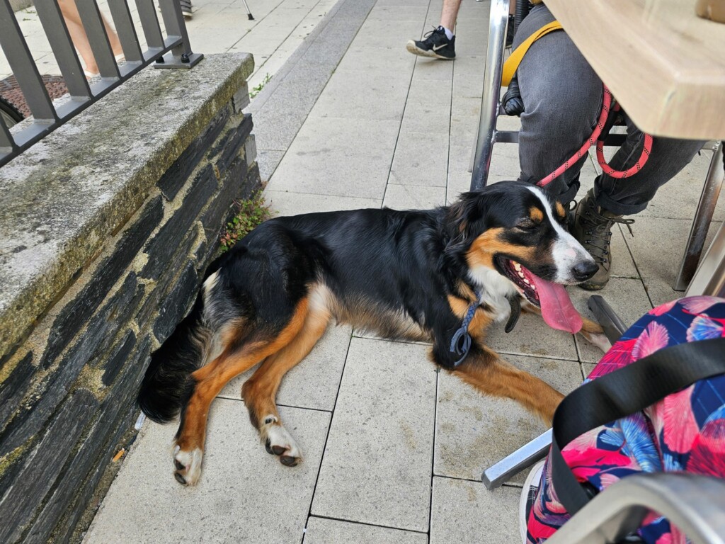 Individuelle_Molly Individuelle_Molly