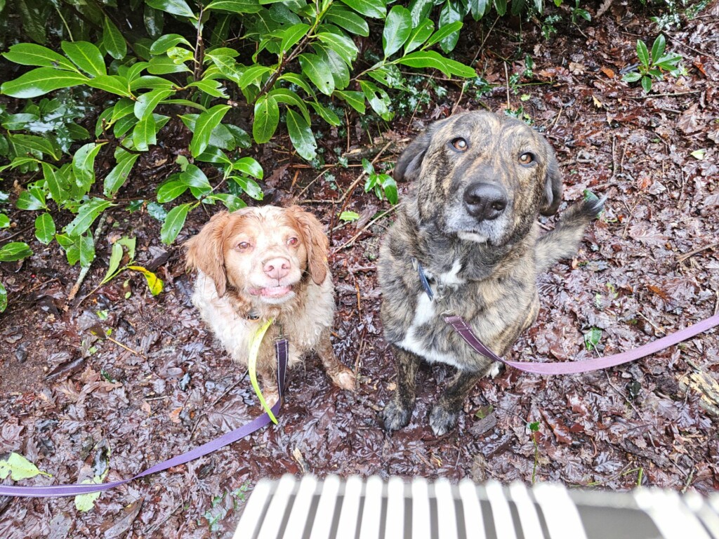 Individuelle_Nouget_Loba Individuelle_Nouget_Loba