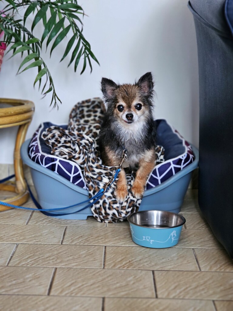 Individuelle_Oliver Individuelle_Oliver