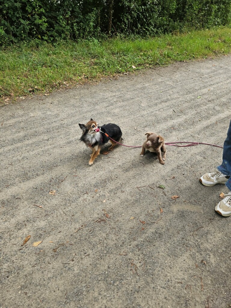 Individuelle_Oliver_Atohm Individuelle_Oliver_Atohm