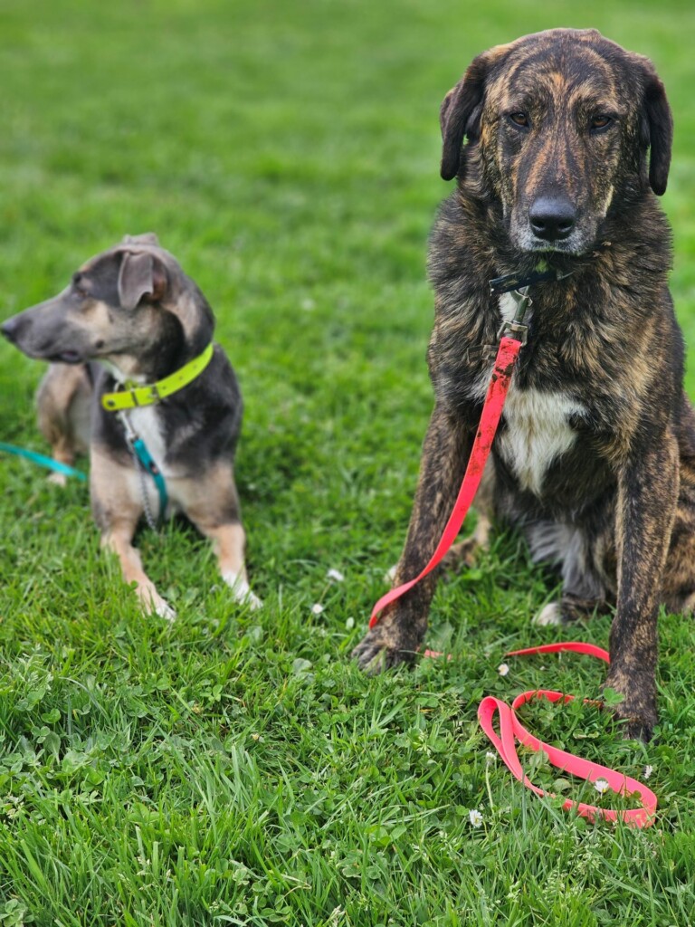 Individuelle_Perle Individuelle_Perle