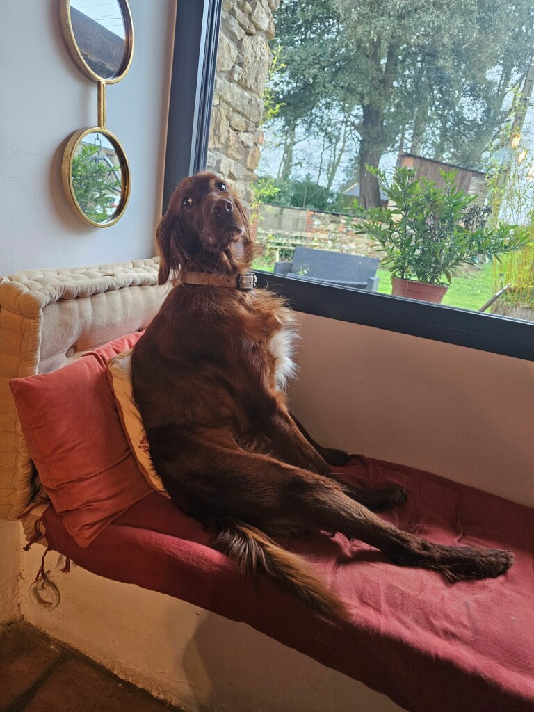 Individuelle_Saline Individuelle_Saline