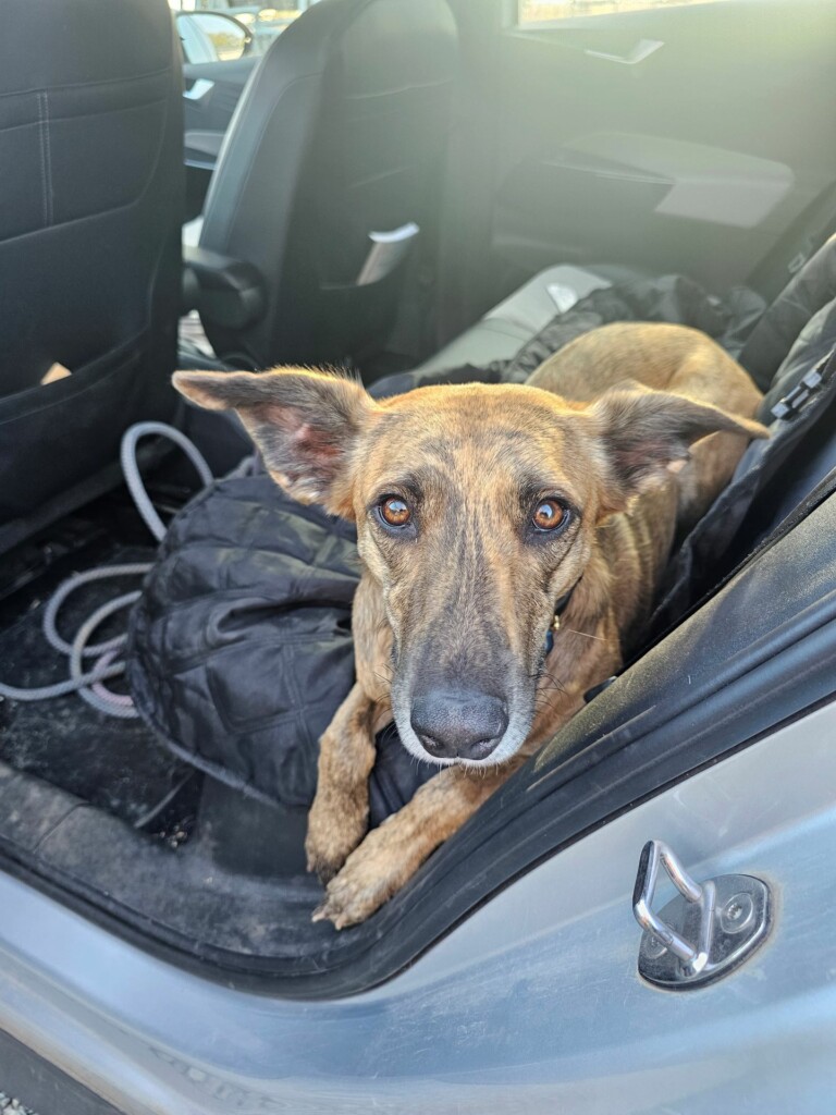 Individuelle_Shaka Individuelle_Shaka