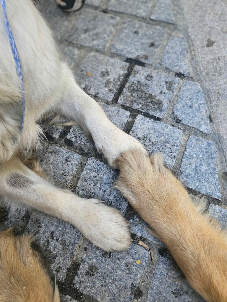 Individuelle_Snow_Revka Individuelle_Snow_Revka