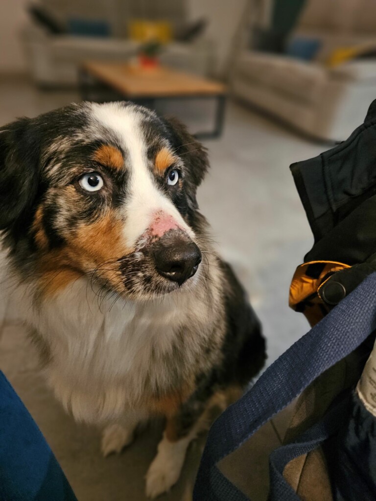 Individuelle_Stella Individuelle_Stella