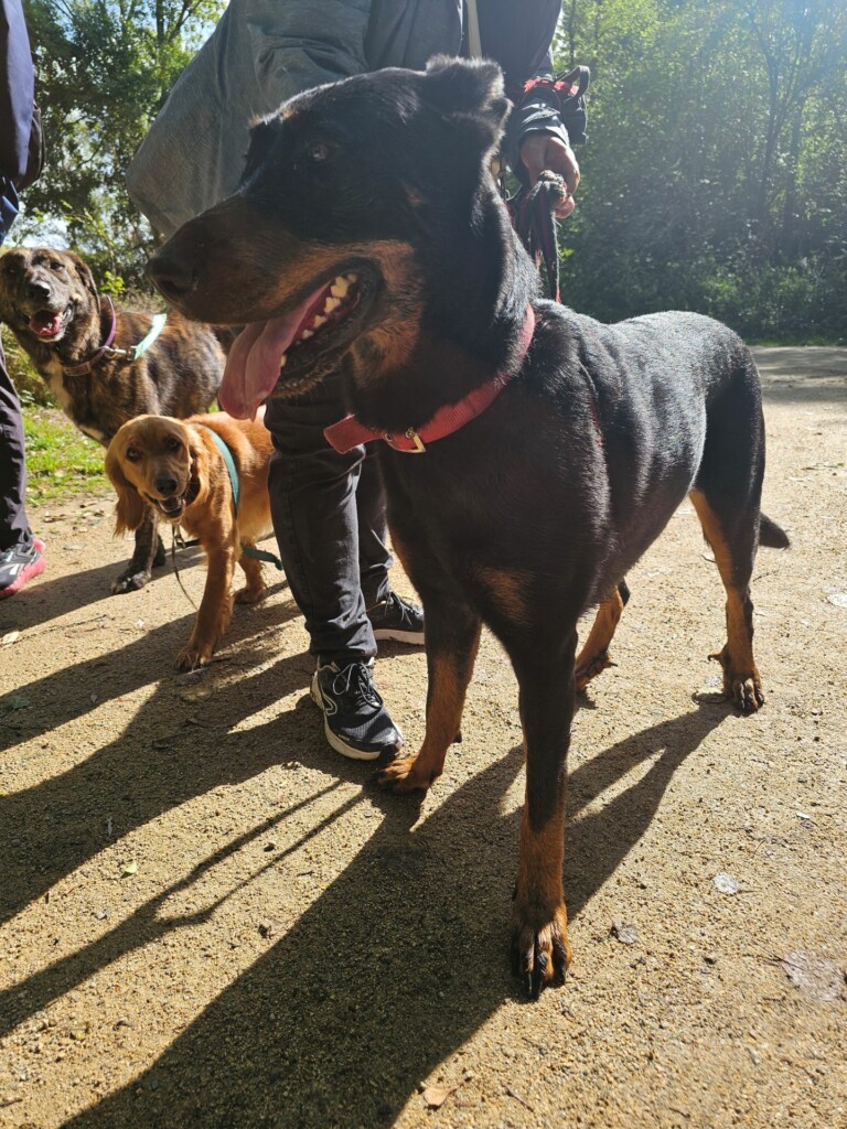 Individuelle_Talya2 Individuelle_Talya2