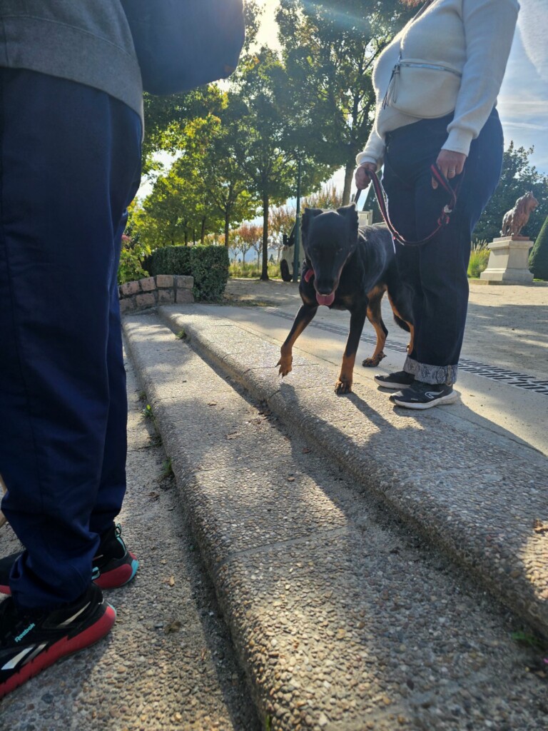 Individuelle_Talya3 Individuelle_Talya3