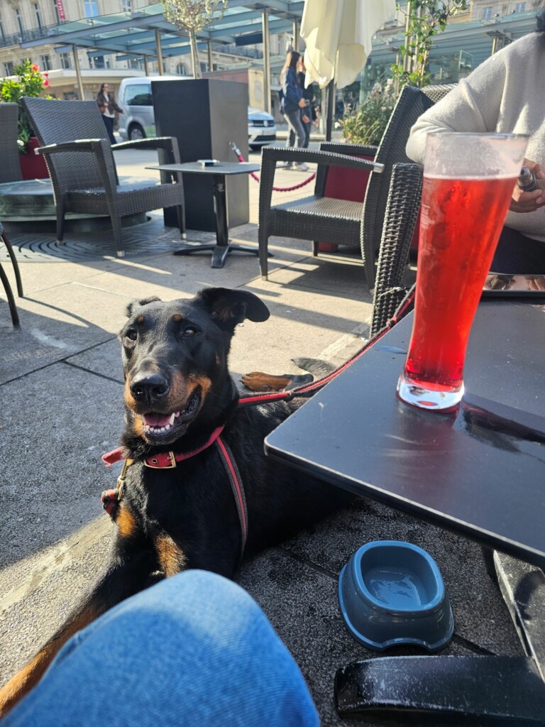 Individuelle_Talya4 Individuelle_Talya4