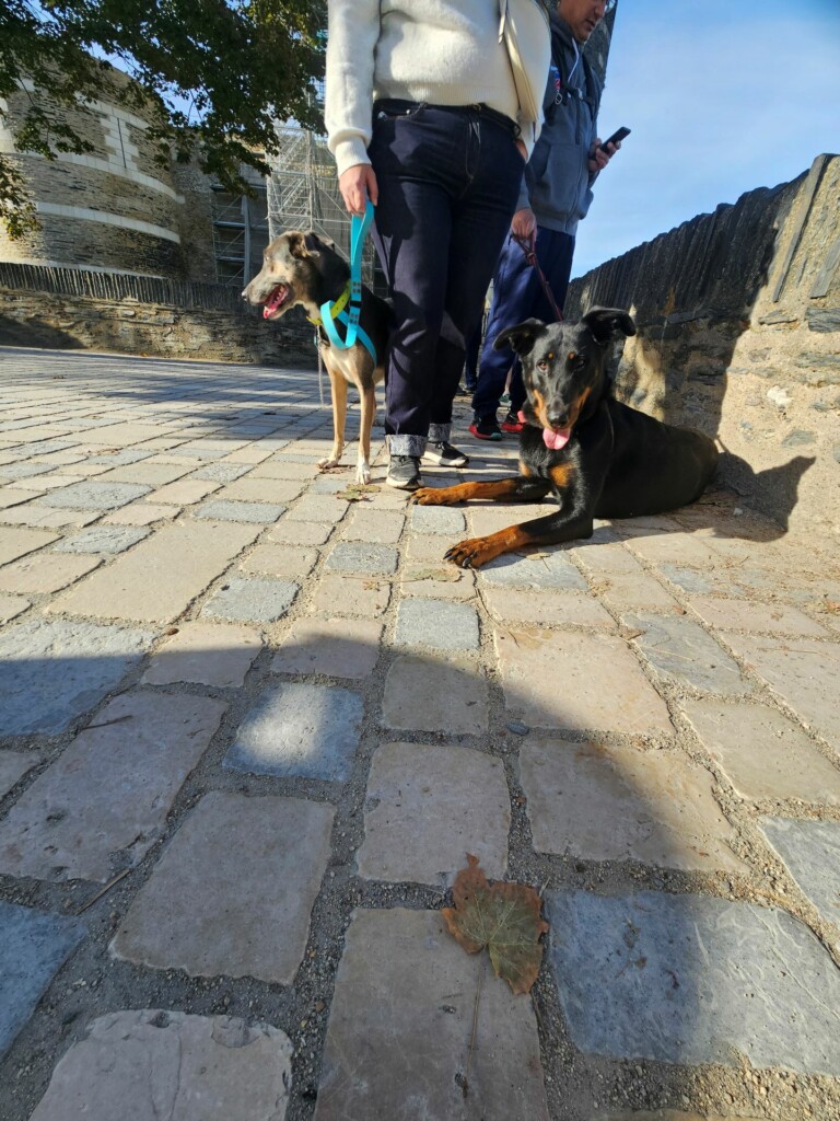 Individuelle_Talya_Perle Individuelle_Talya_Perle