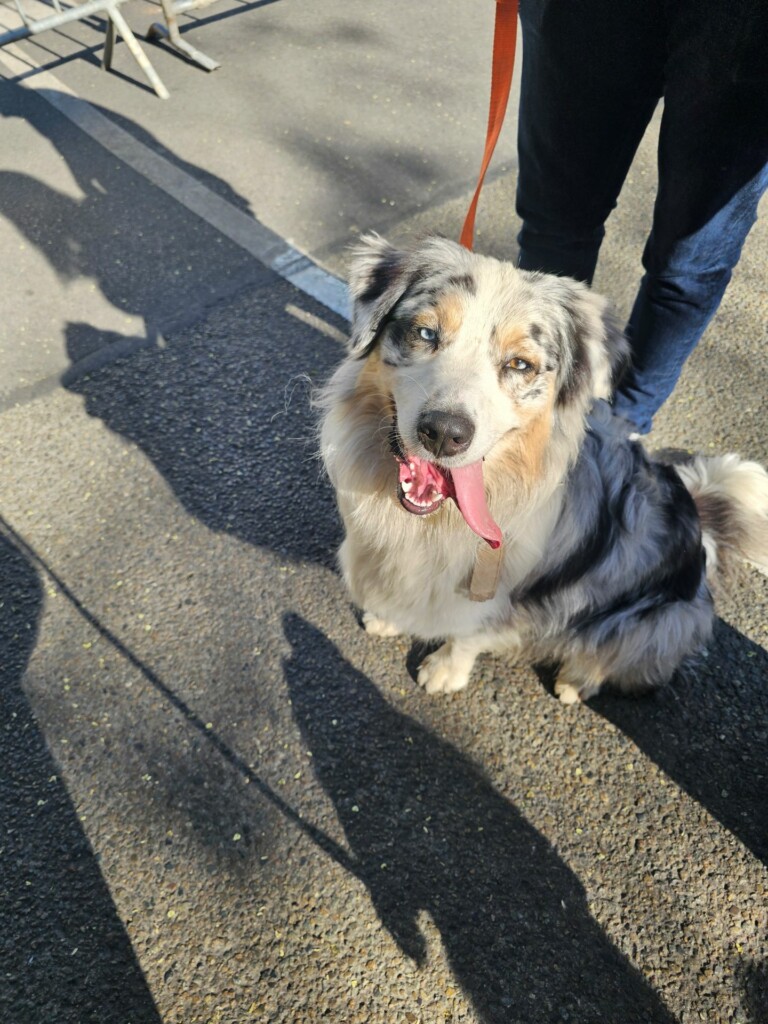 Individuelle_Ulco2 Individuelle_Ulco2