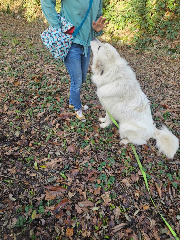 Individuelle_Usca Individuelle_Usca