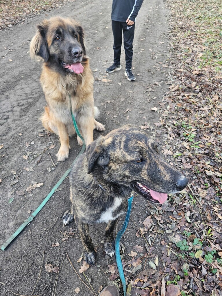 Individuelle_Usca2 Individuelle_Usca2