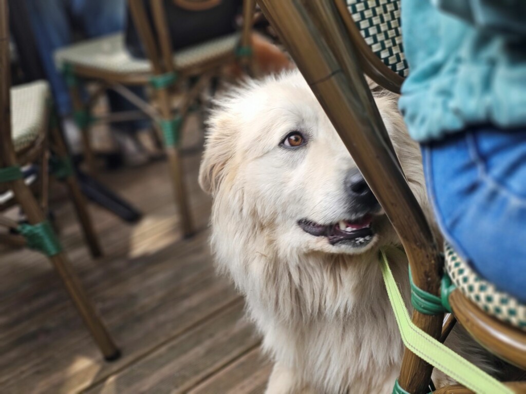 prestations Individuelles_Usca3 prestations Individuelles_Usca3