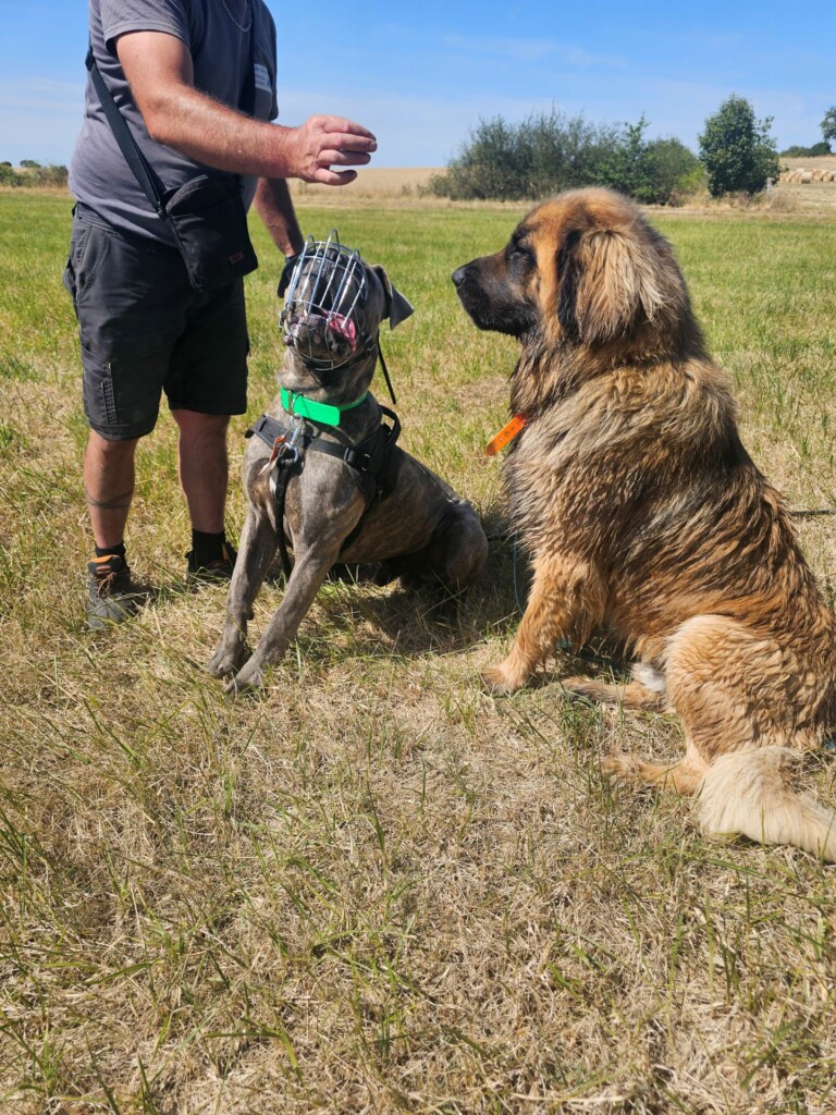 Individuelle_Vador Individuelle_Vador