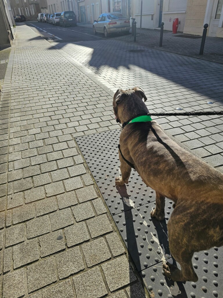 Individuelle_Vador3 Individuelle_Vador3