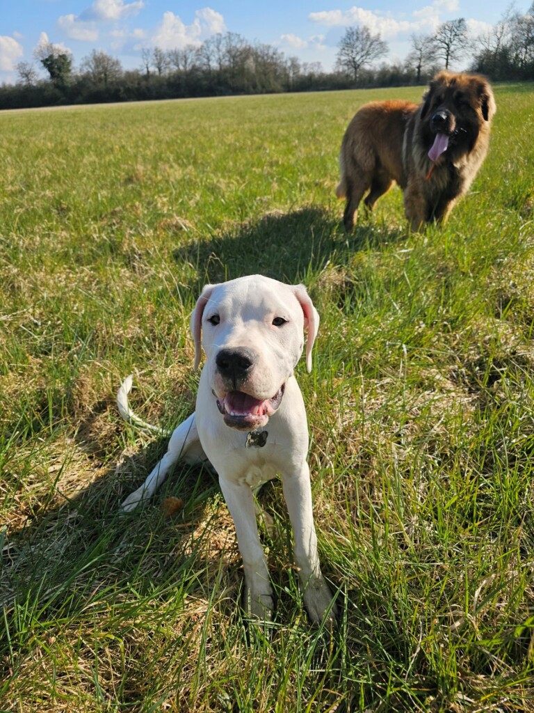 Individuelle_Valter Individuelle_Valter