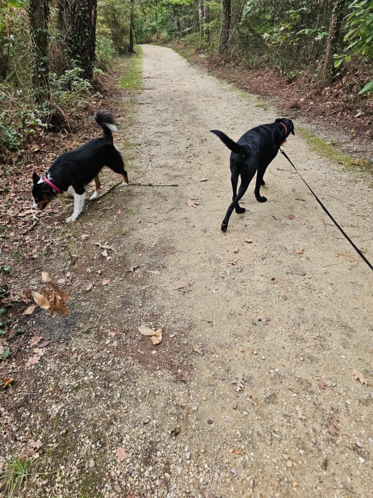 Individuelle_Van Individuelle_Van