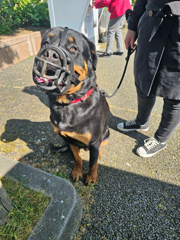 Individuelle_Vito Individuelle_Vito