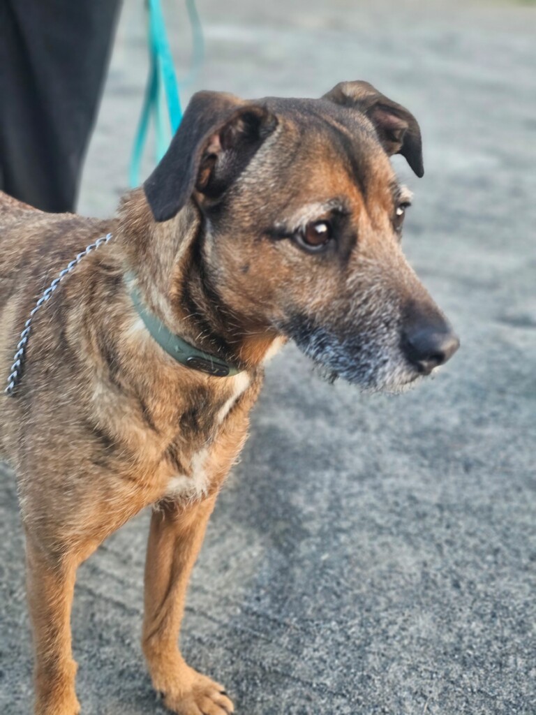 Individuelle_Wilan Individuelle_Wilan