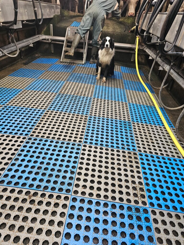 Individuelle_Yummy Individuelle_Yummy