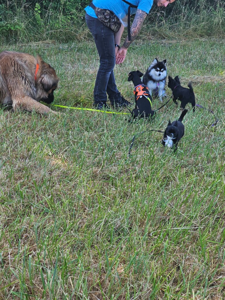 Individuelle_Zoe Individuelle_Zoe