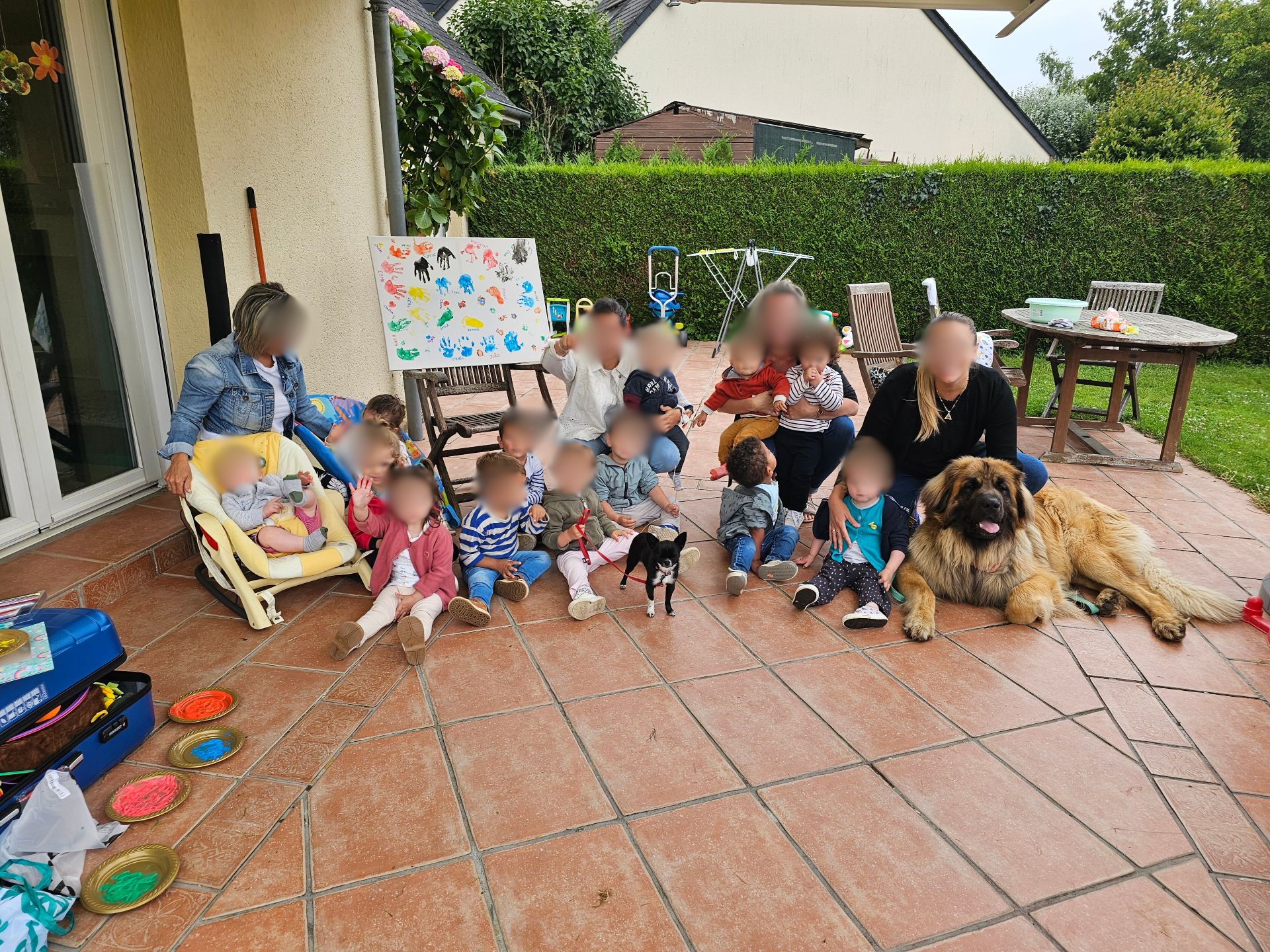 Mediation_animale-mam6